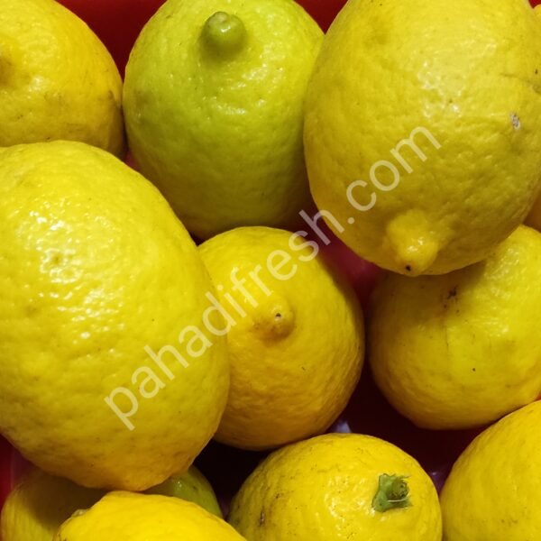 पहाड़ी गलगल लिम्बा Lemon Nimbu