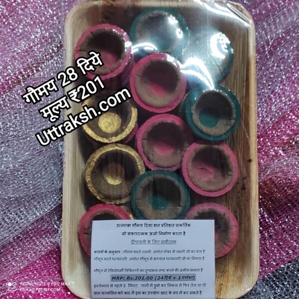 Cow dung Diyas 28